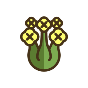 Getrocknete Blumen