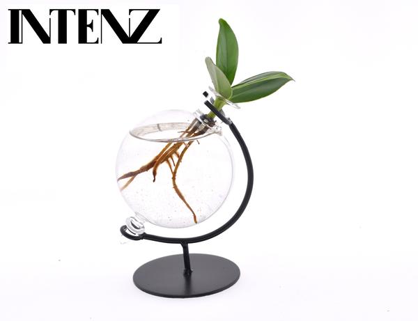 Clusia In Victoria Glas – Ø5cm – ↕10cm